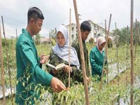 Master Degree Program Diy Nomor 10